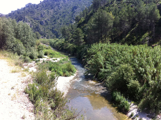 El río Serpis